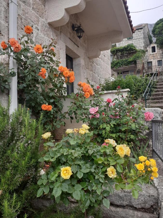 Vila Divna Podgora Bagian luar foto